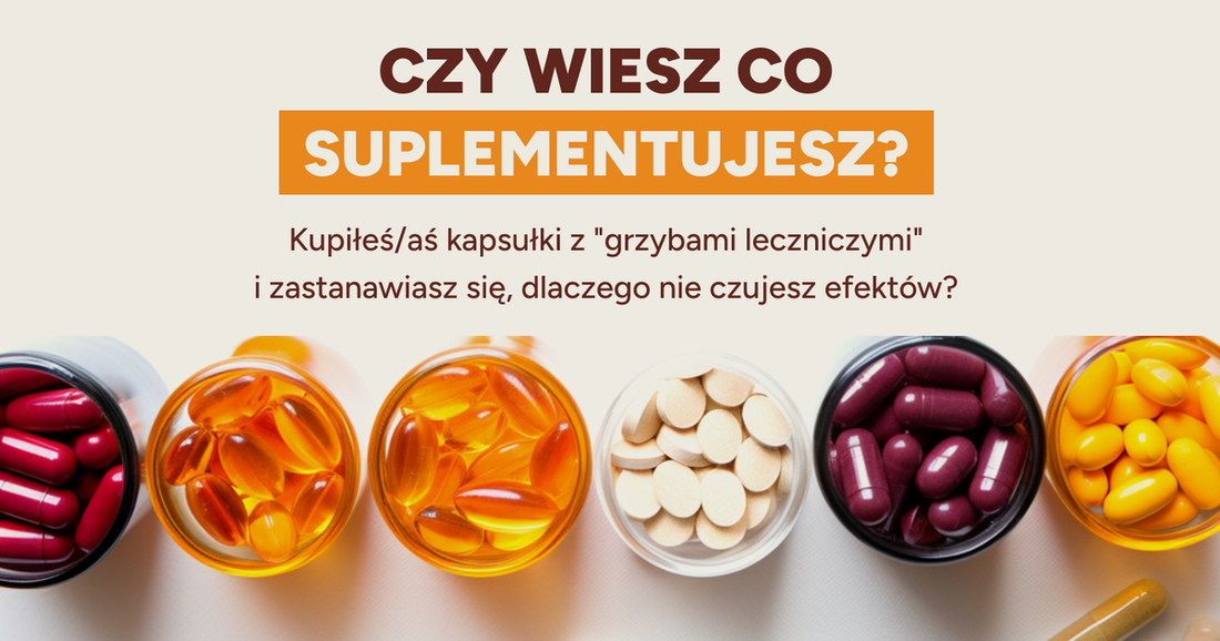 Owocnik czy grzybnia — jak czytać etykietę suplementu z grzybami