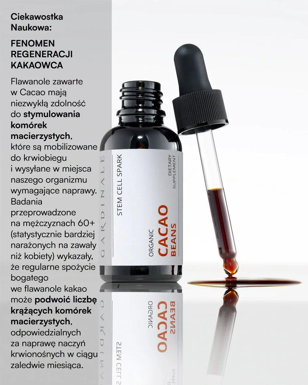 Bioekstrakt - ZIARNA KAKAOWCA CACAO BEANS - 30 ml