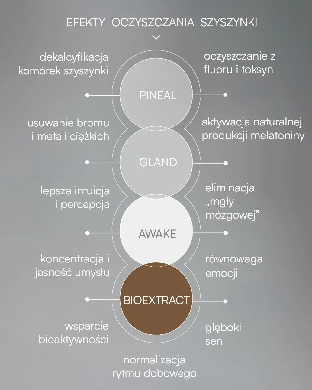 Bioekstrakt - CZYSTA SZYSZYNKA I WSZYSTKO JASNE - 30 ml