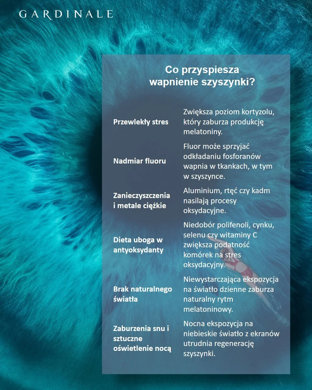 Bioekstrakt - CZYSTA SZYSZYNKA I WSZYSTKO JASNE - 30 ml