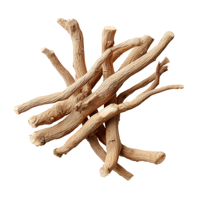 Korzeń Ashwagandhy