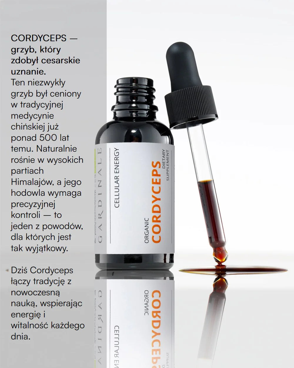Bioekstrakt - CORDYCEPS - 30 ml